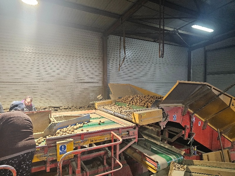 Bijlsma Hercules - 6