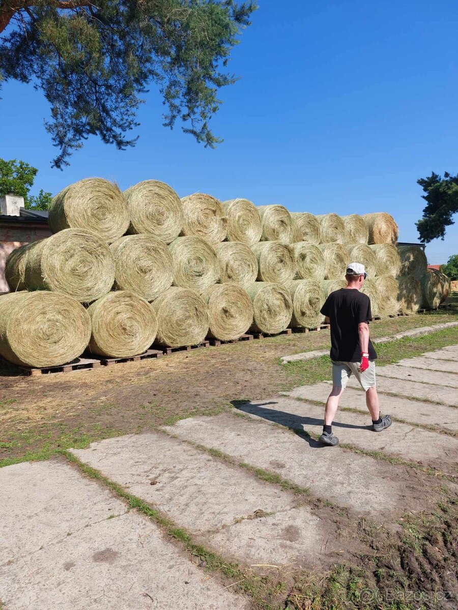 Boxové ustájení - 6