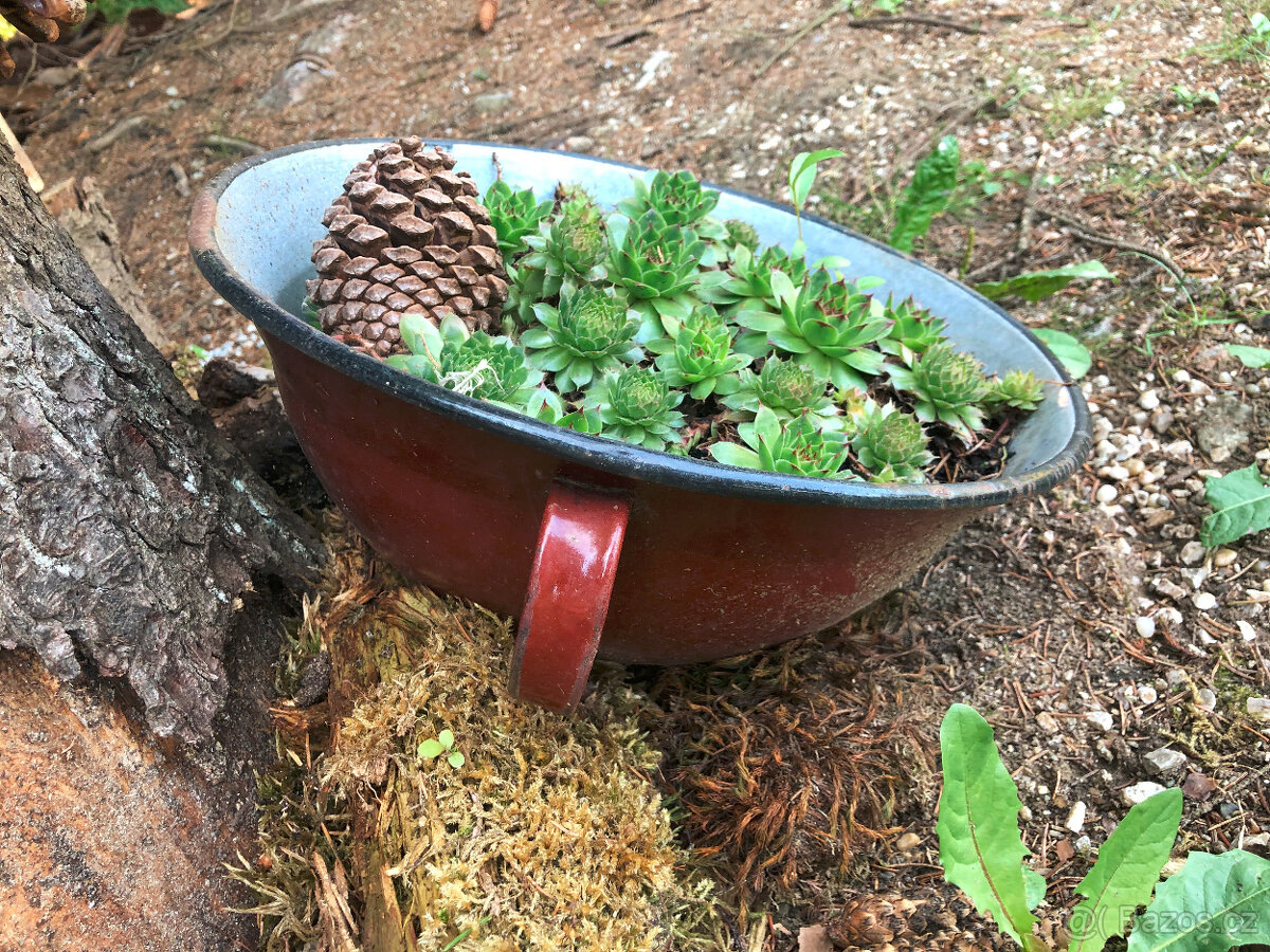 Velká zadělávací smaltovaná mísa k osázení na zahradu - 6
