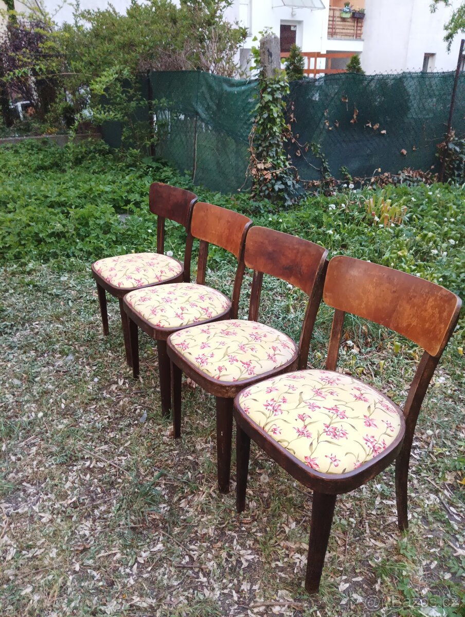Židle - THONET - 6