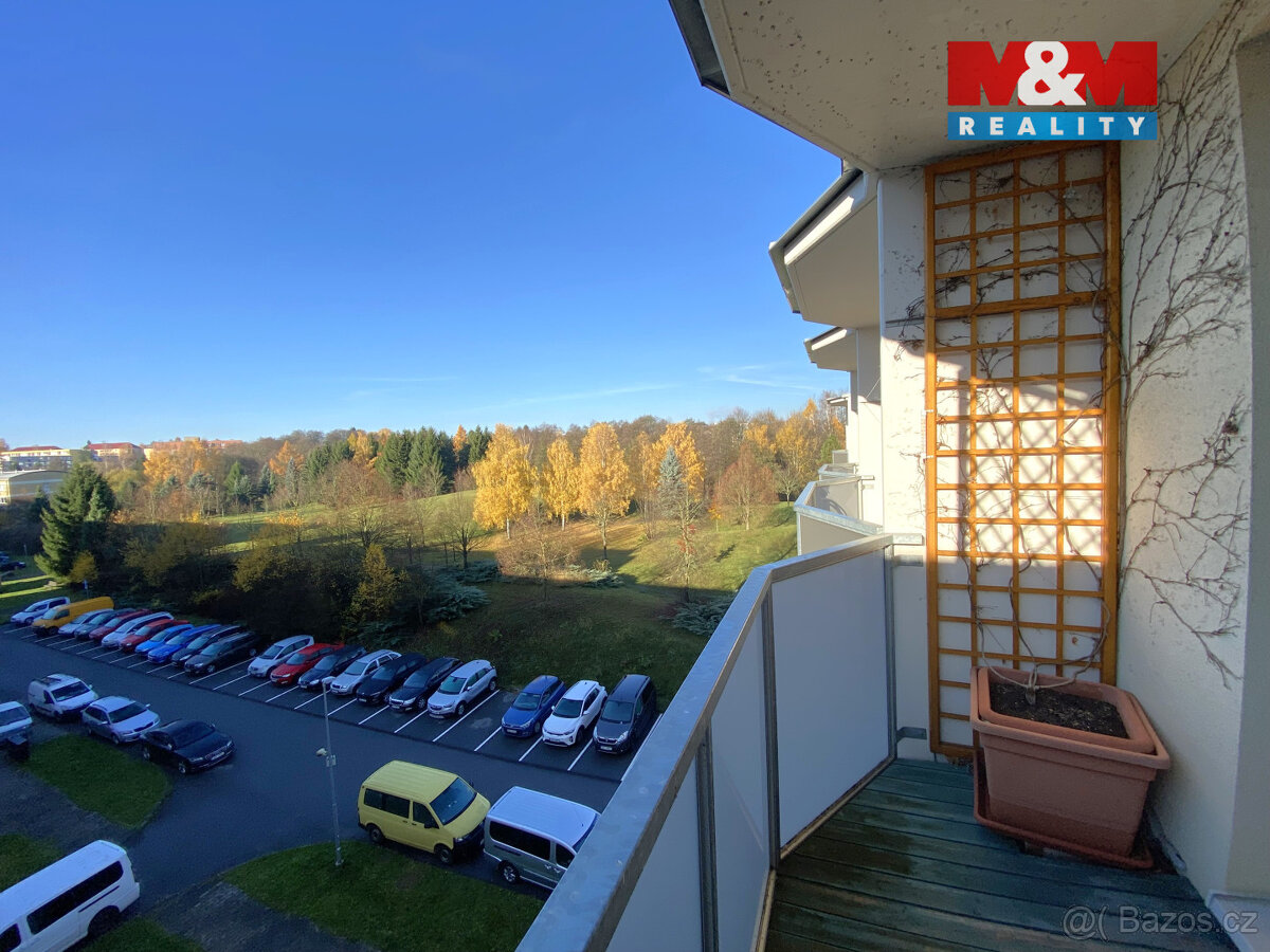 Prodej bytu 1+1 ve Žďáře nad Sázavou, ul. Libušínská - 6