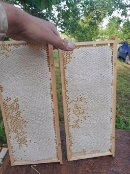 Vyzimované včelí oddělky 2026 - 6