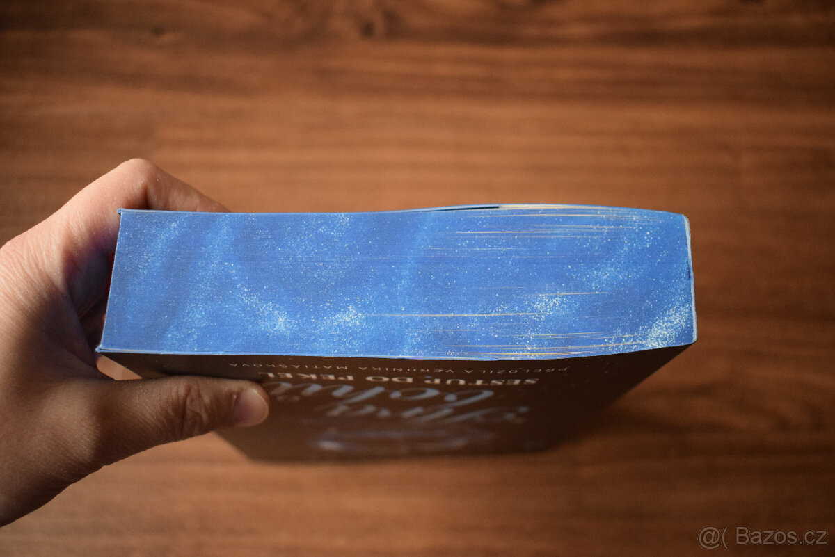 Hra bohů: Sestup do pekel - Hazel Riley - 6