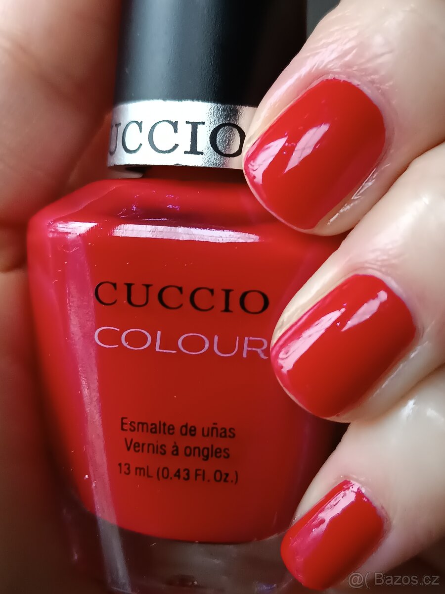 Laky Cuccio, Sparitual, Amoené, Alessandro - 6