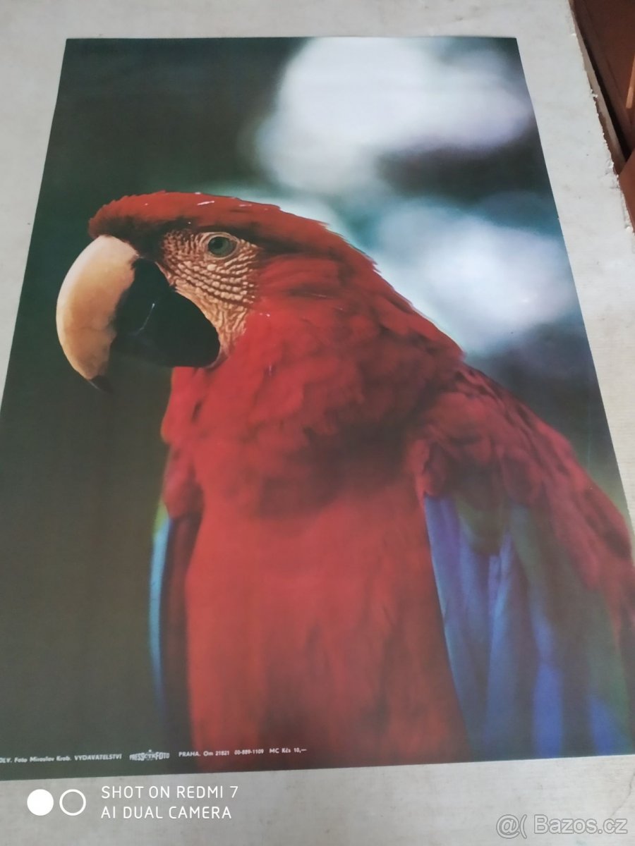 Origin.nástěnné plakáty, 80. let 20. století - Exot. zvířata - 6