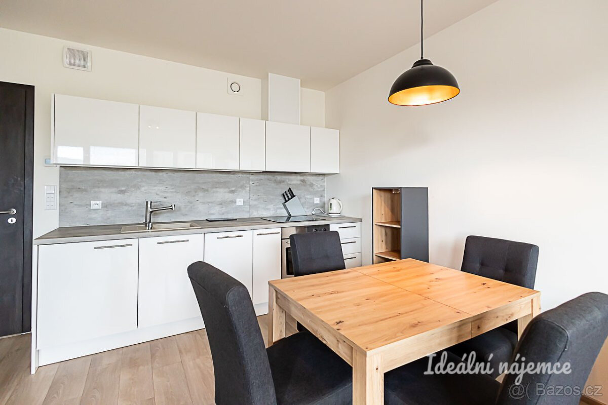 Pronájem bytu 2kk 55m2 - 6