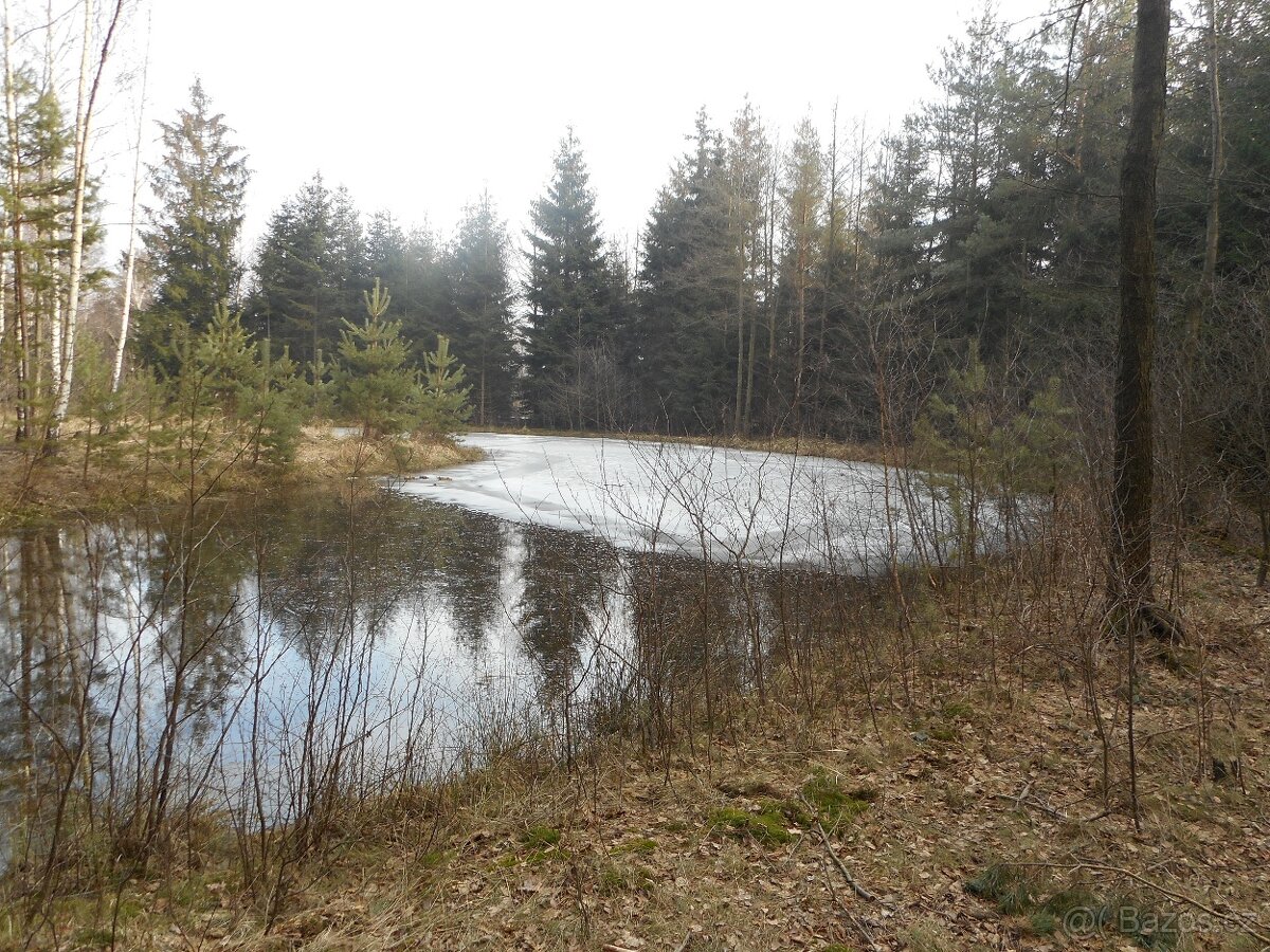 KOŽENÉ BOTY - 6