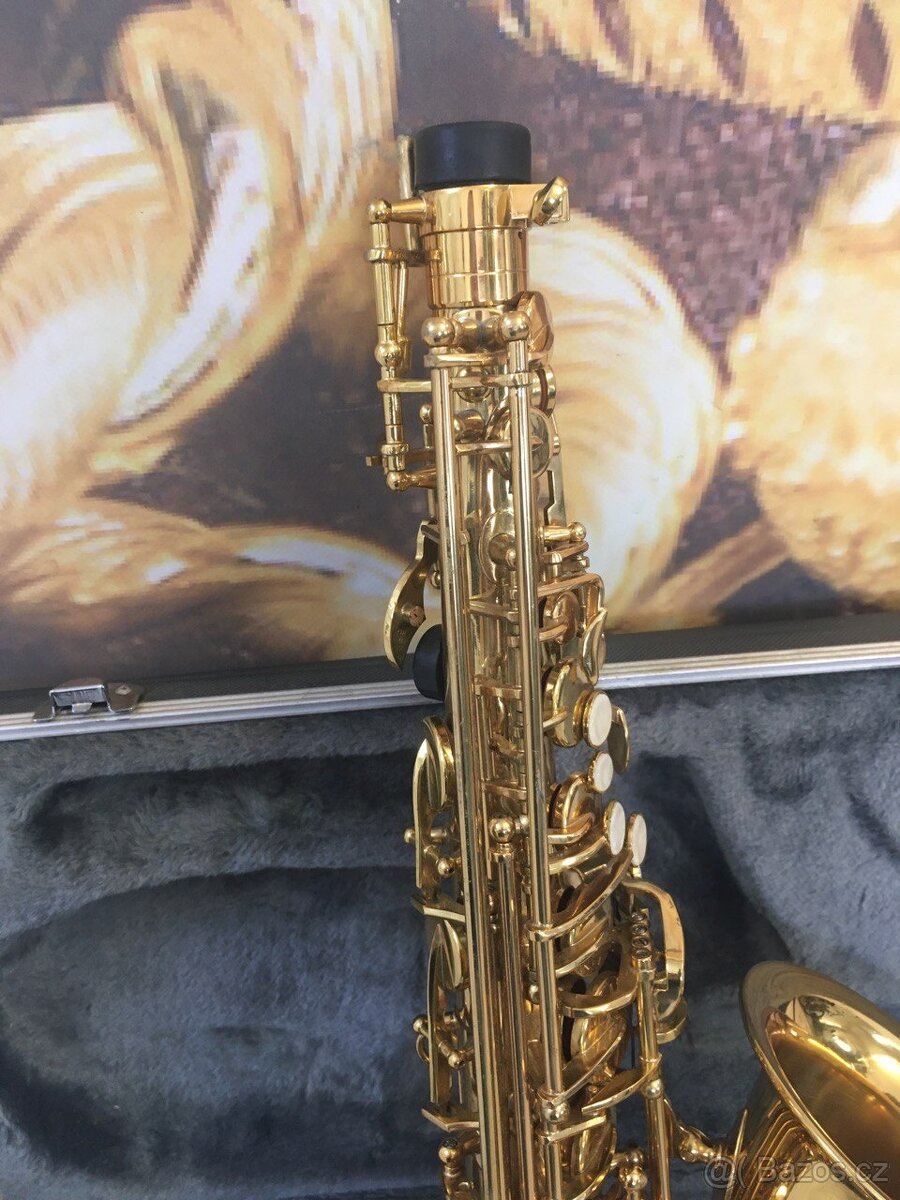 Saxofon Giant - 6