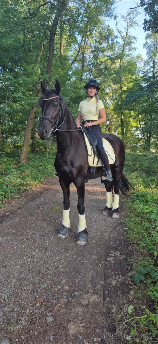 Sada Eskadron, MRs Ros, Tommy Hilfiger - 6