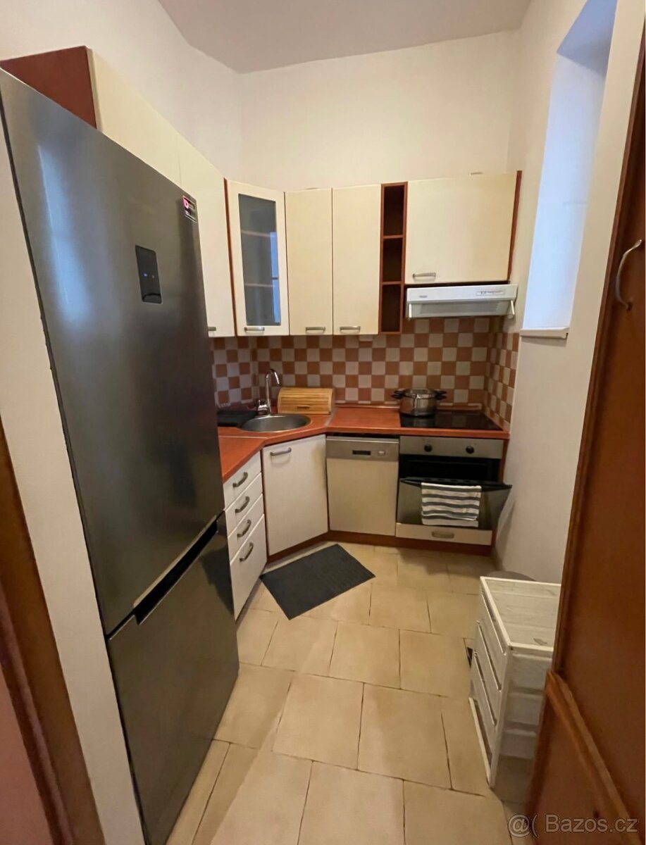 Pronájem bytu 2+1 Vinohrady - 6