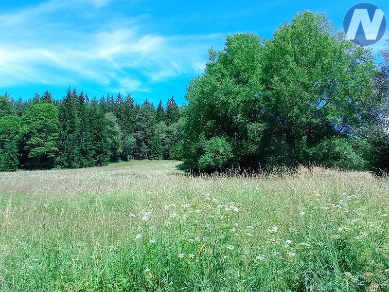 Černá Lada, pozemek s výměrou 22.888 m2 - 6