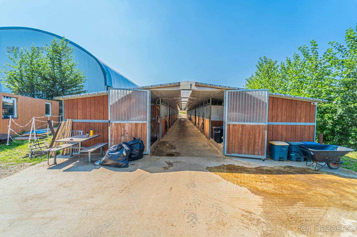 Ustájení koní – Telce u Peruce - 6