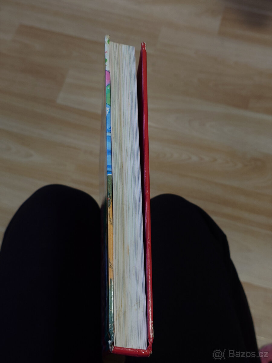 Velká kniha pohádek před spaním - 6