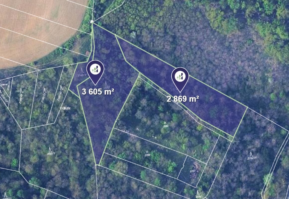 Prodej podílu 1/2 lesa 9 147 m², Ořechov - 6