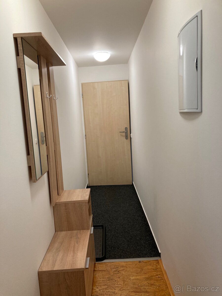 Pronájem bytu - 6