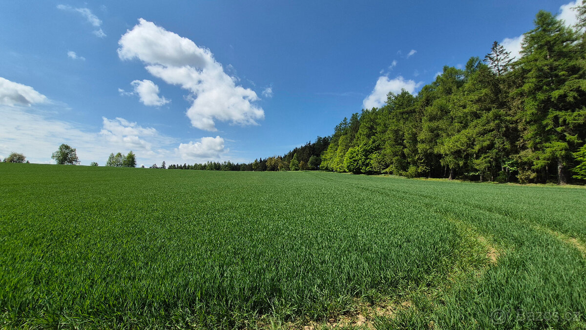 Prodej pozemku 5776 m2 v Borové u Poličky, okr. Svitavy - 6