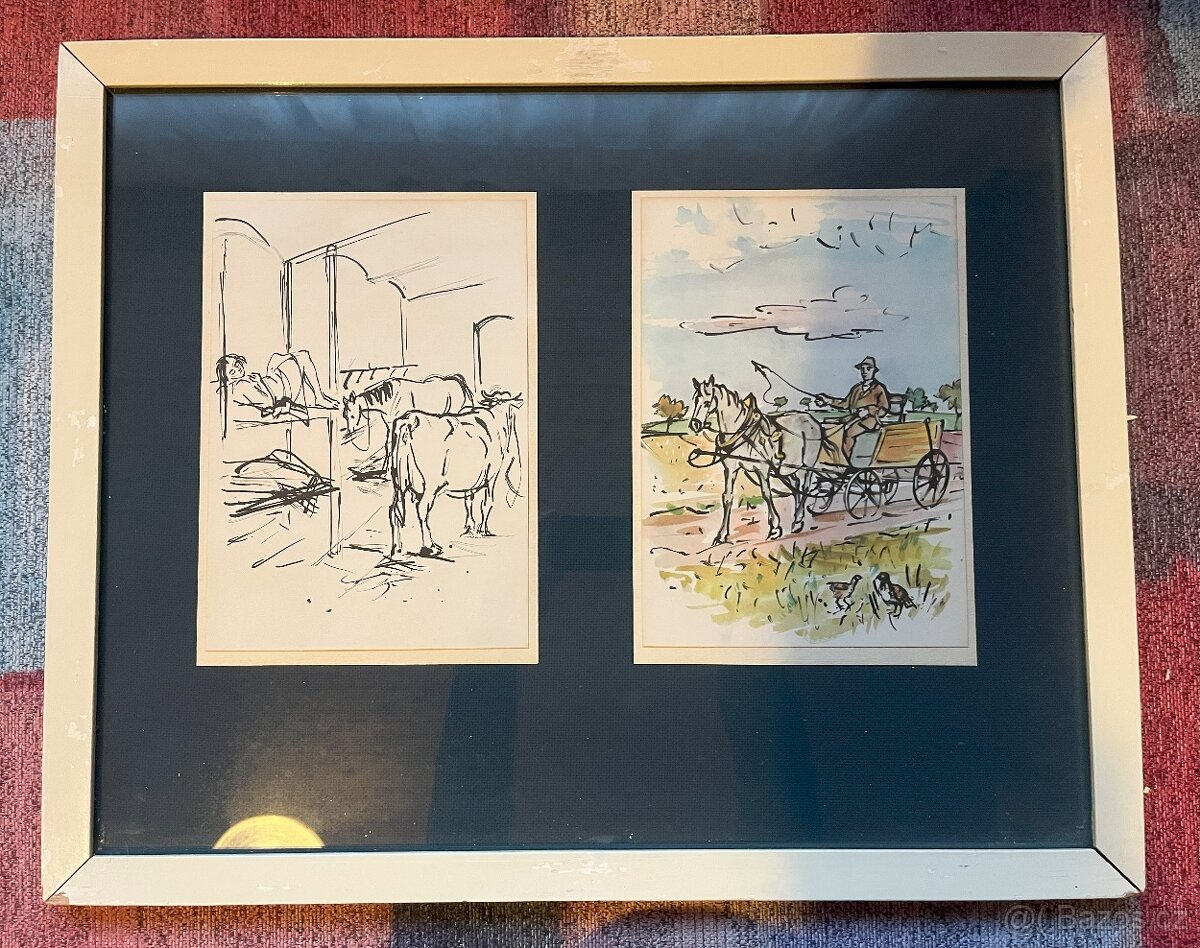 Sedláček Vojtěch - kolekce - 6