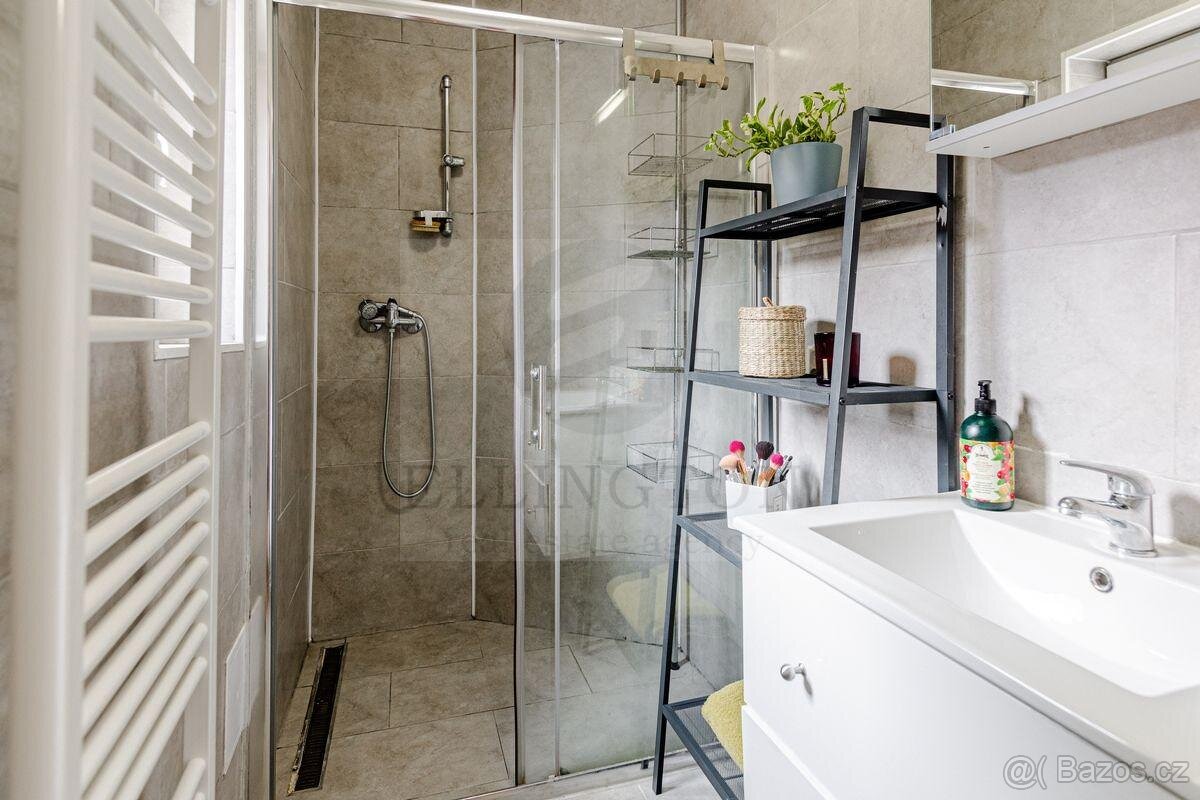 1+1, 39m2,Praha 5 - 6