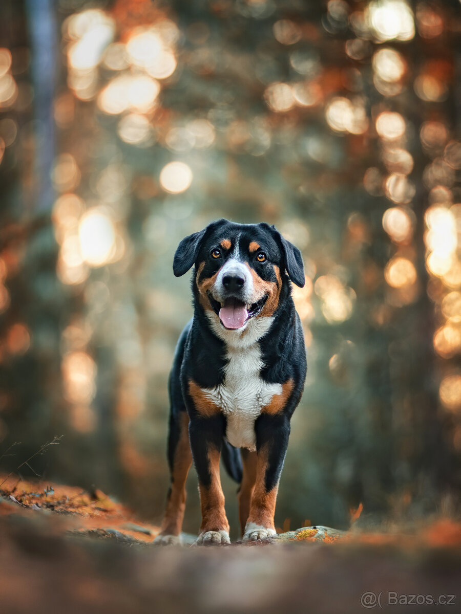 Meopta Meostigmat 119/1,9 M42 - 6