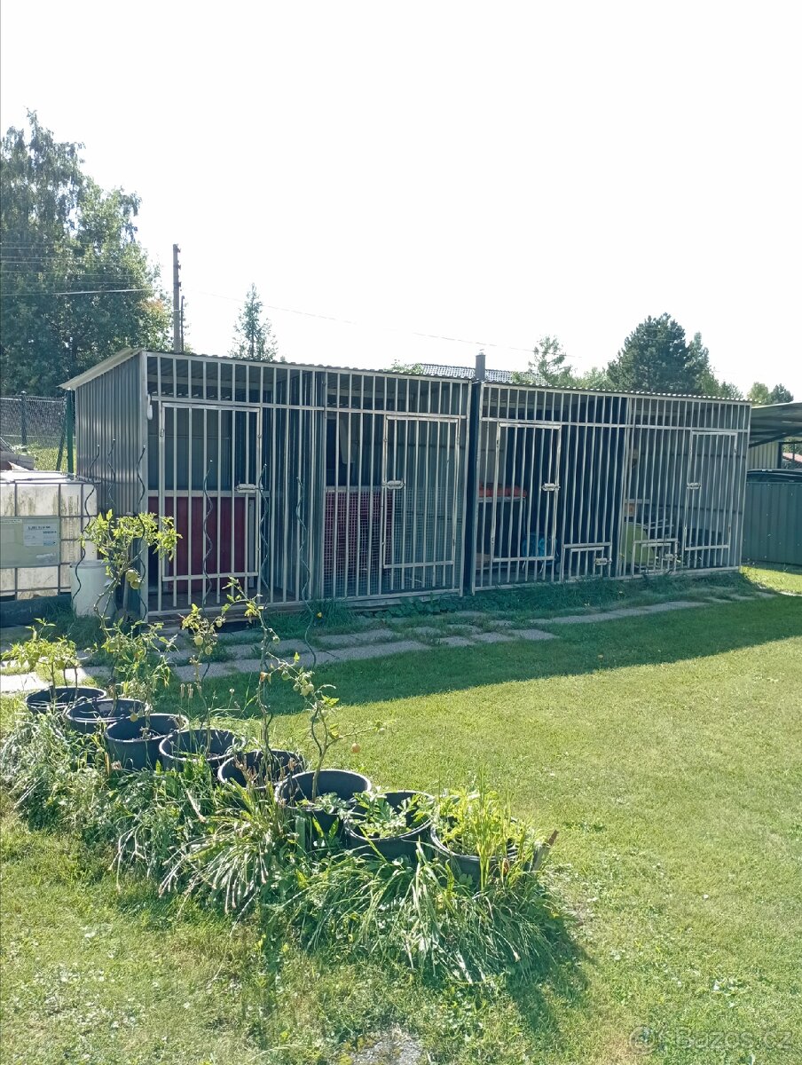 Mini psí hotel a psí školka. - 6