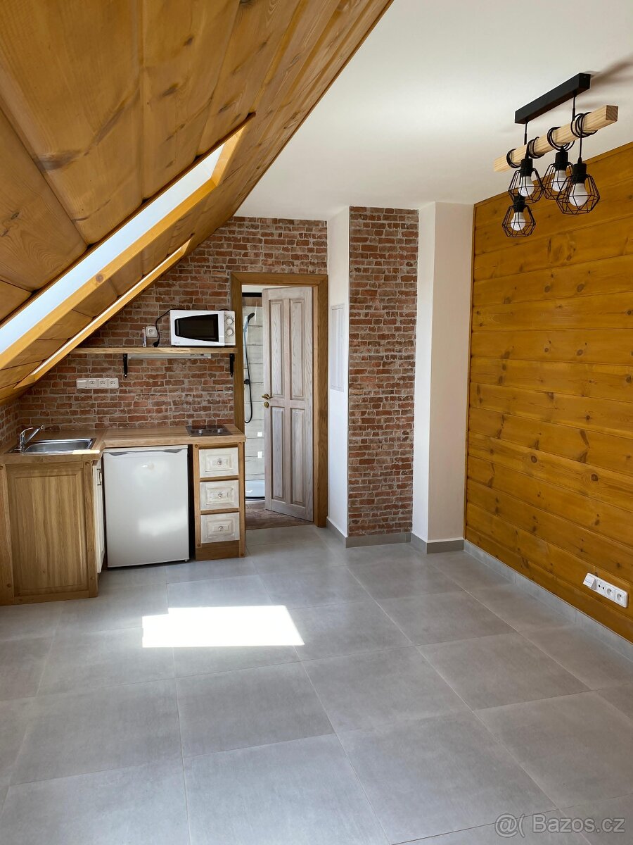 Pronájem 1kk (24m2) - 6