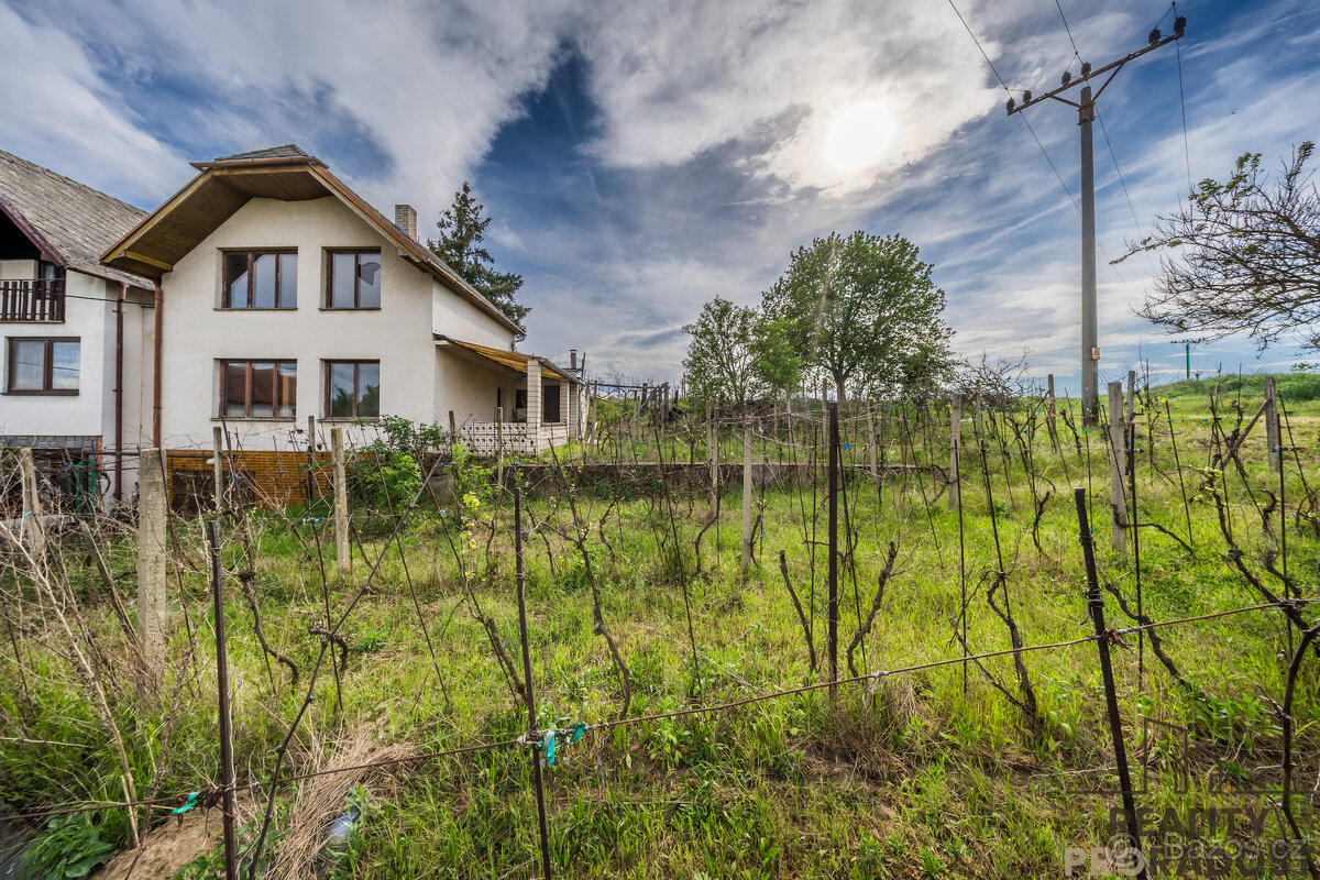 House in Vlkoš, okres Hodonín – další