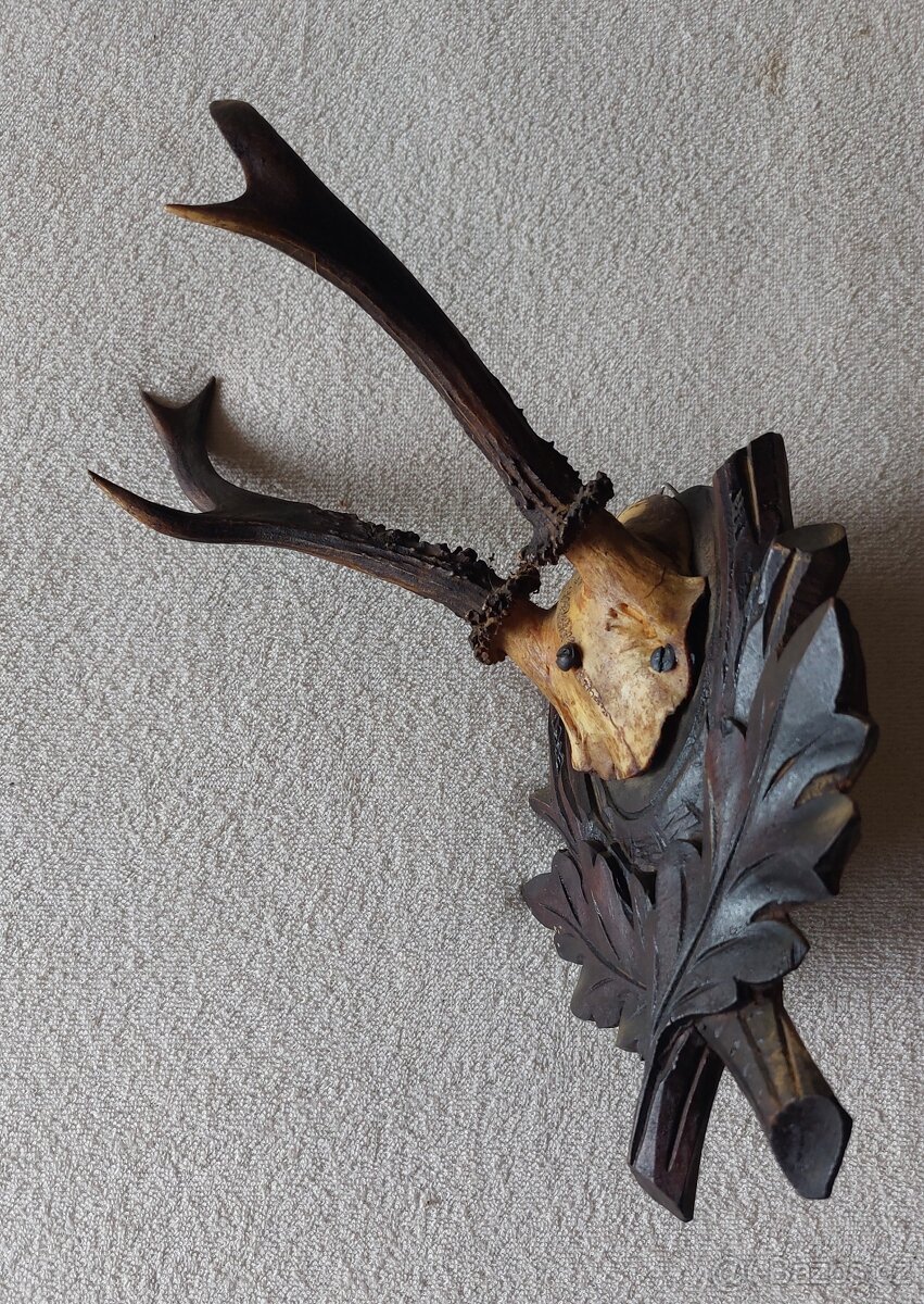 parohy a parůžky - 6