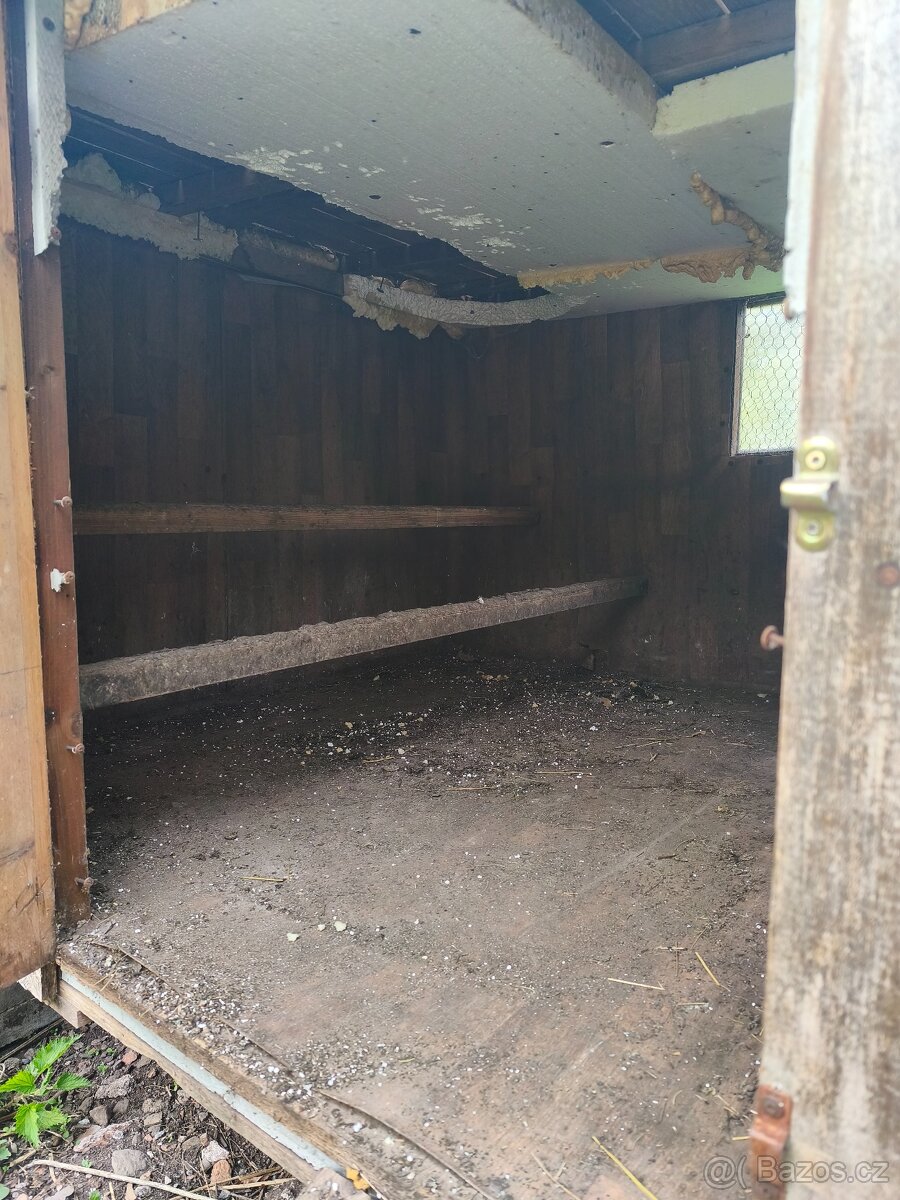 Kurník, slepice - 6