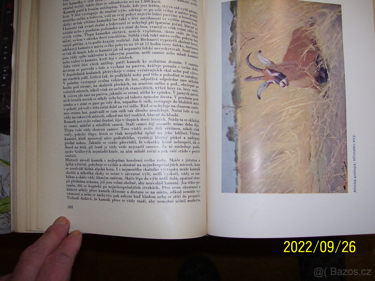 MALÝ BREHM-5 KNIH - 6