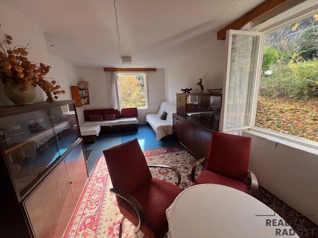 Prodej rekreační chaty s vlastním pozemkem Radějov - 6