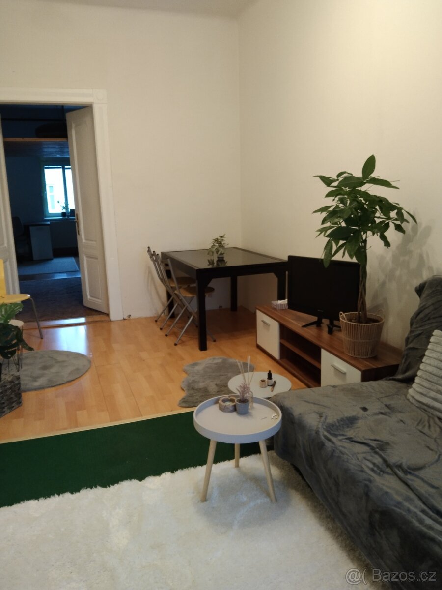 Pronájem bytu 2+1 – Slovany - 6