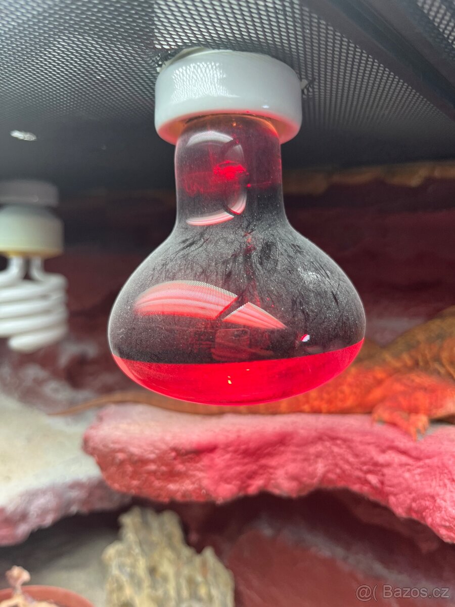 Prodám agamu+ všechny vybaveni. Rychlá koupe sleva 500 a vic - 6