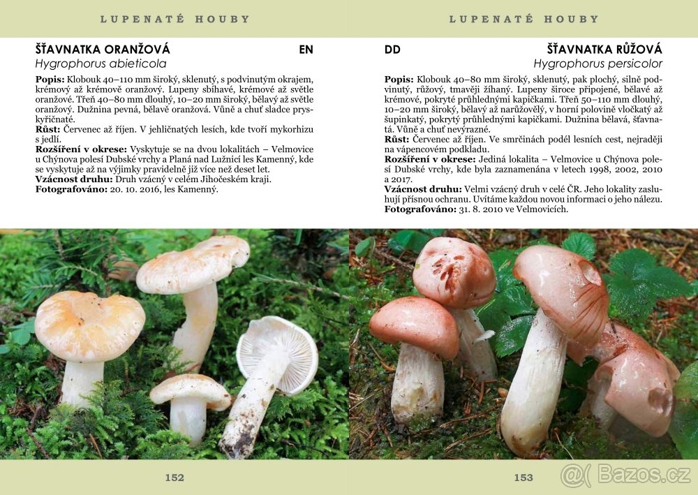 PAVEL ŠPINAR - VZÁCNÉ HOUBY TÁBORSKA - 6