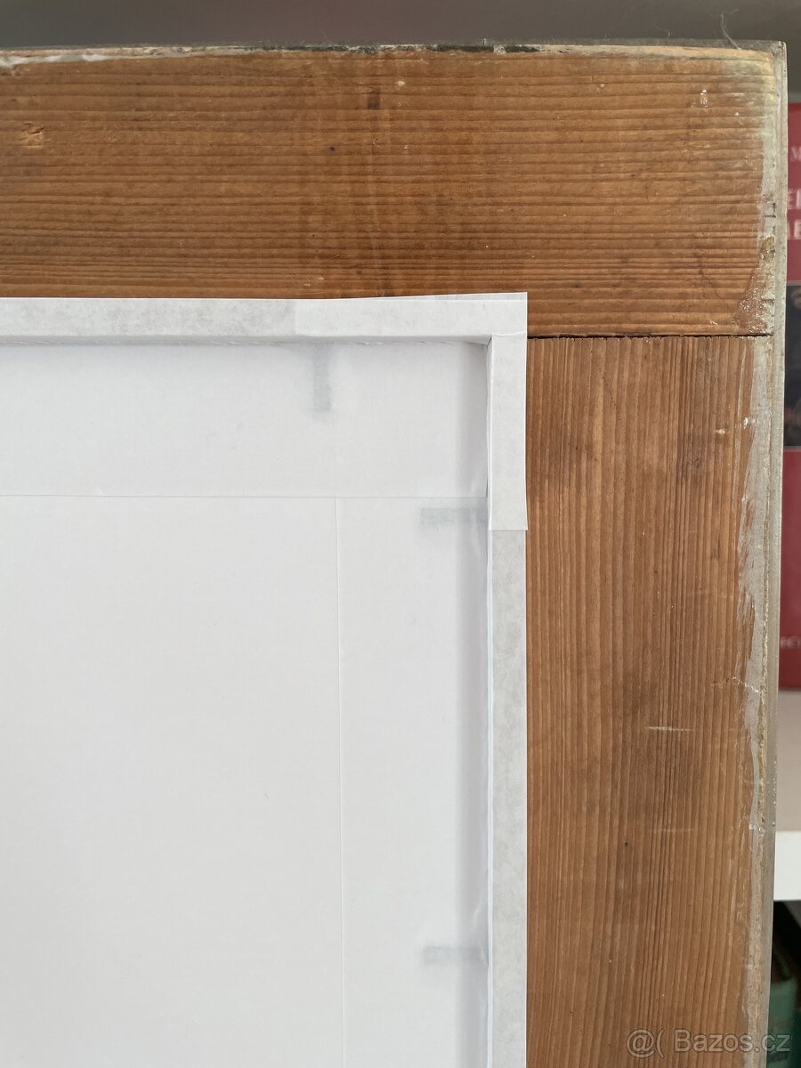 Borovice lesní Print Pinus Sylvestris pine - 6