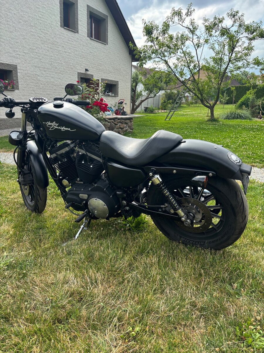 Harley Davidson Sportster iron 883 - 6