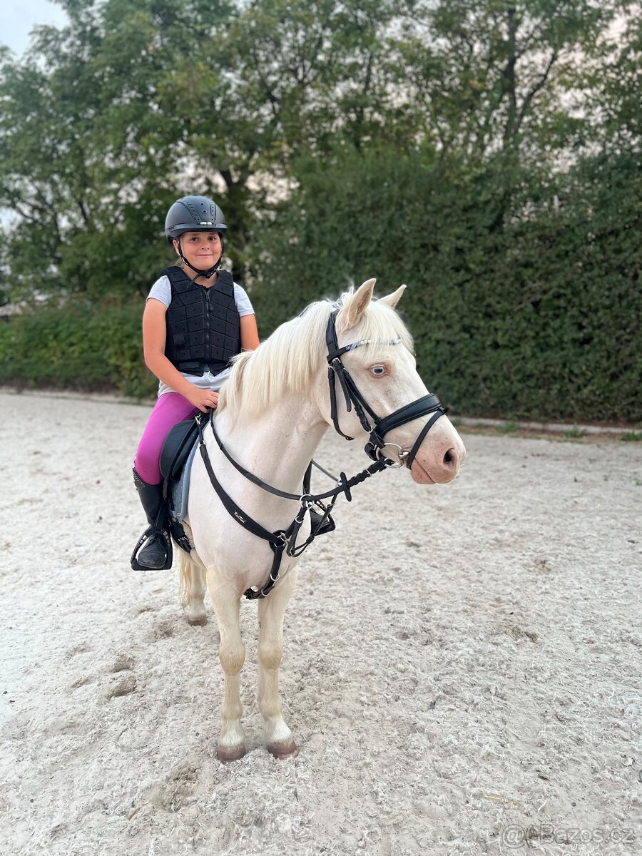 Prodám sportovního pony S - 6