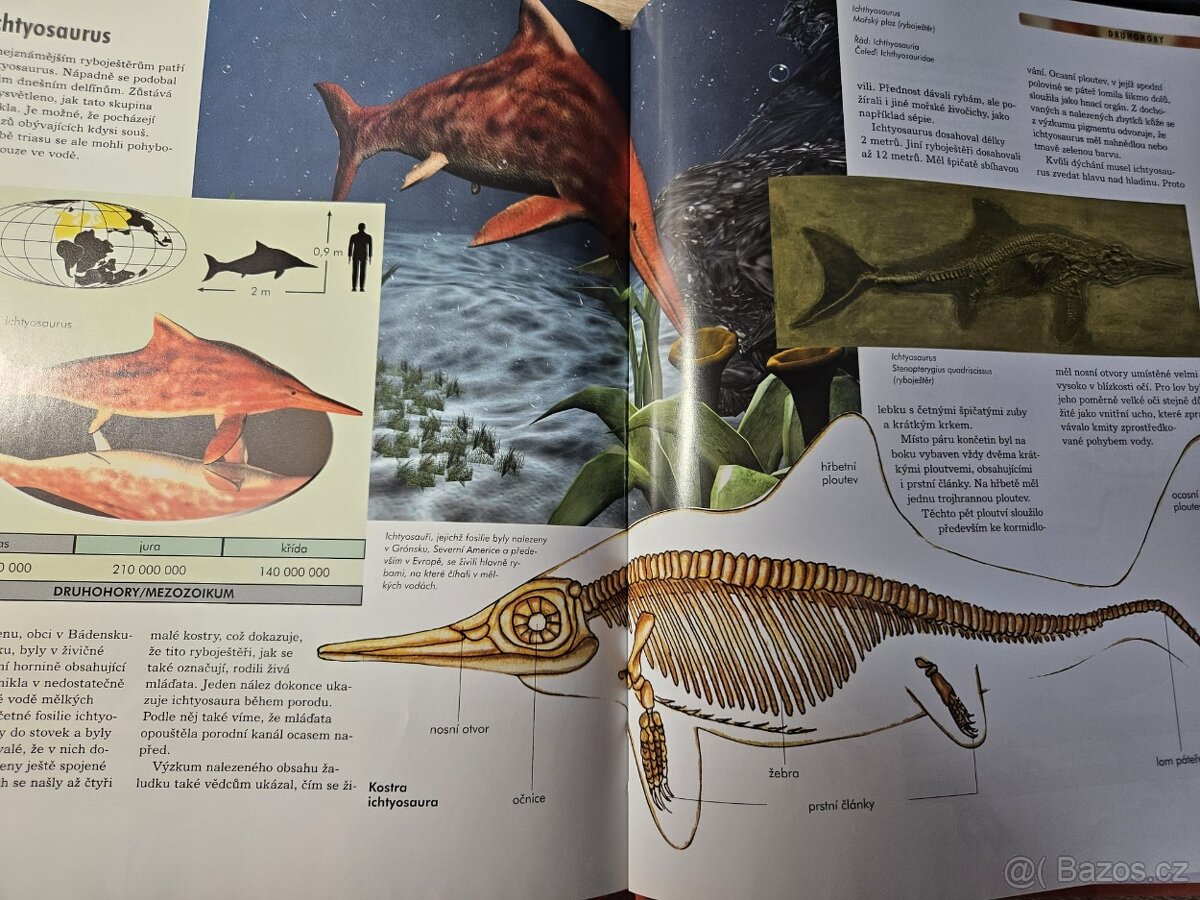 Astronomie, Dinosauři, - 6