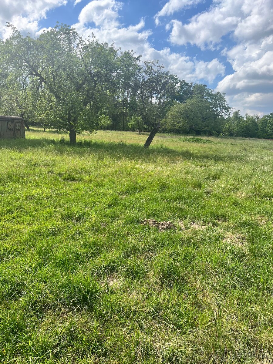 Ovocný sad 5219 m2 - 6