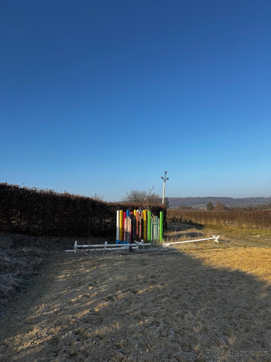 Ustájení koní - box - 6