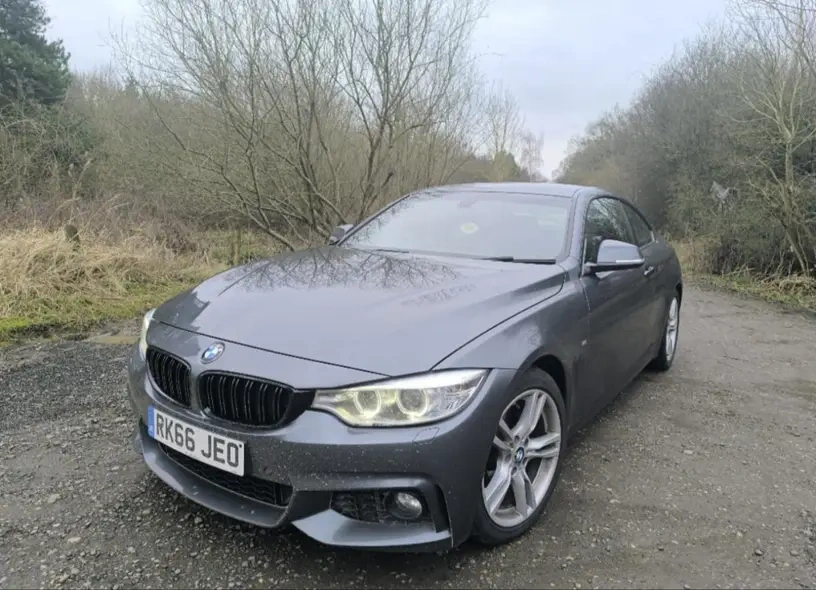Ledvinky Gril Mřížka BMW 4 F32 F33 F36 M PAKET - 6