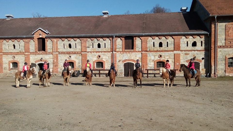 Ustájení koní na Šumavě - 6