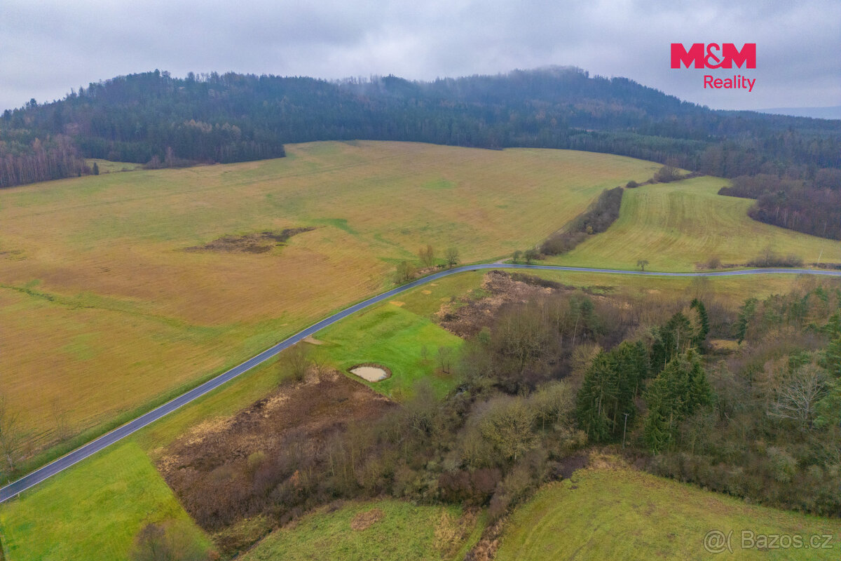 Prodej louky, 6272 m², Hůrky - 6