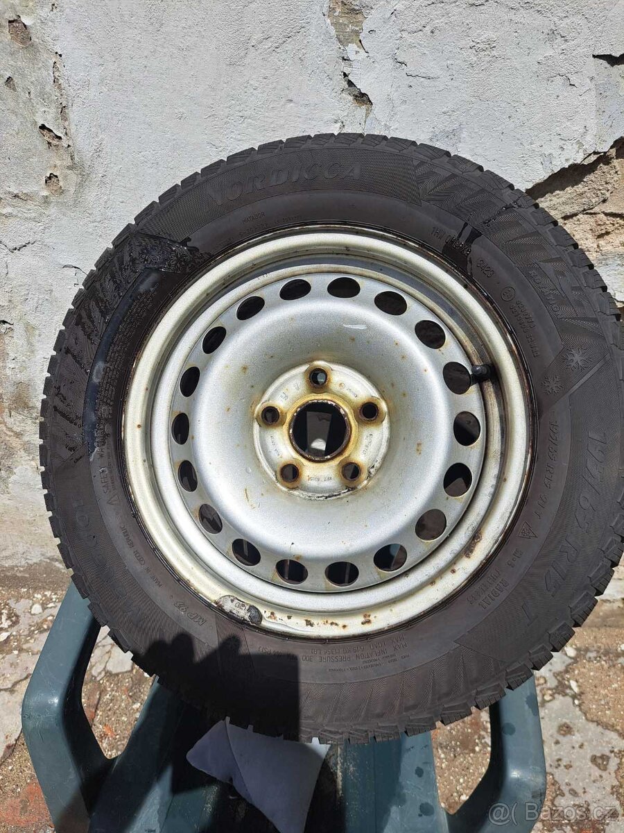 Pneum - 6