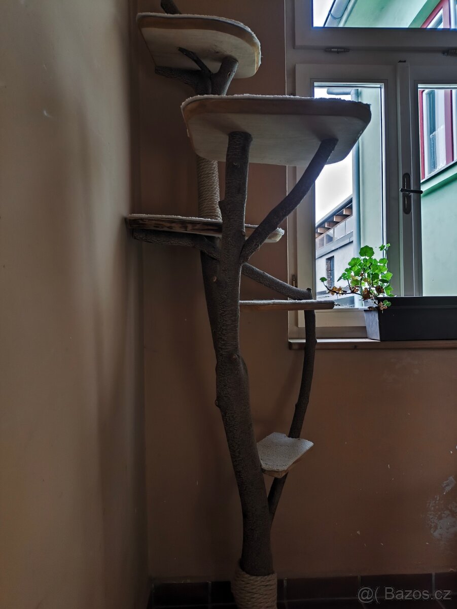 Kočičí škrabadlo - 6