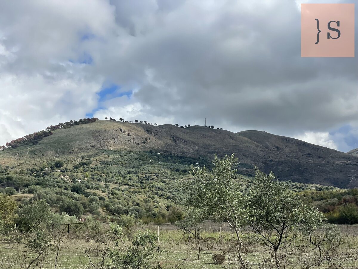 Prodej, pozemek, 4 000 m, , , Česko - 6