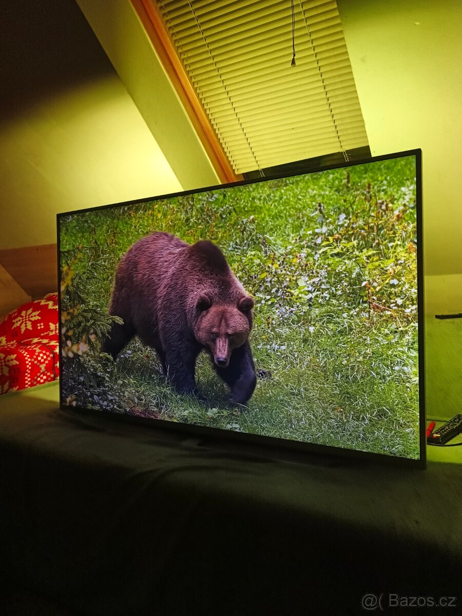 Prodám Android Smart Televize značky Philips 55 palců - 6