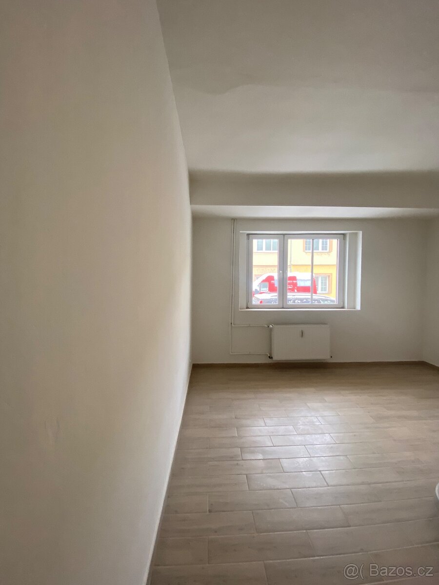Pronájem bytu 2+1 Trmice - 6