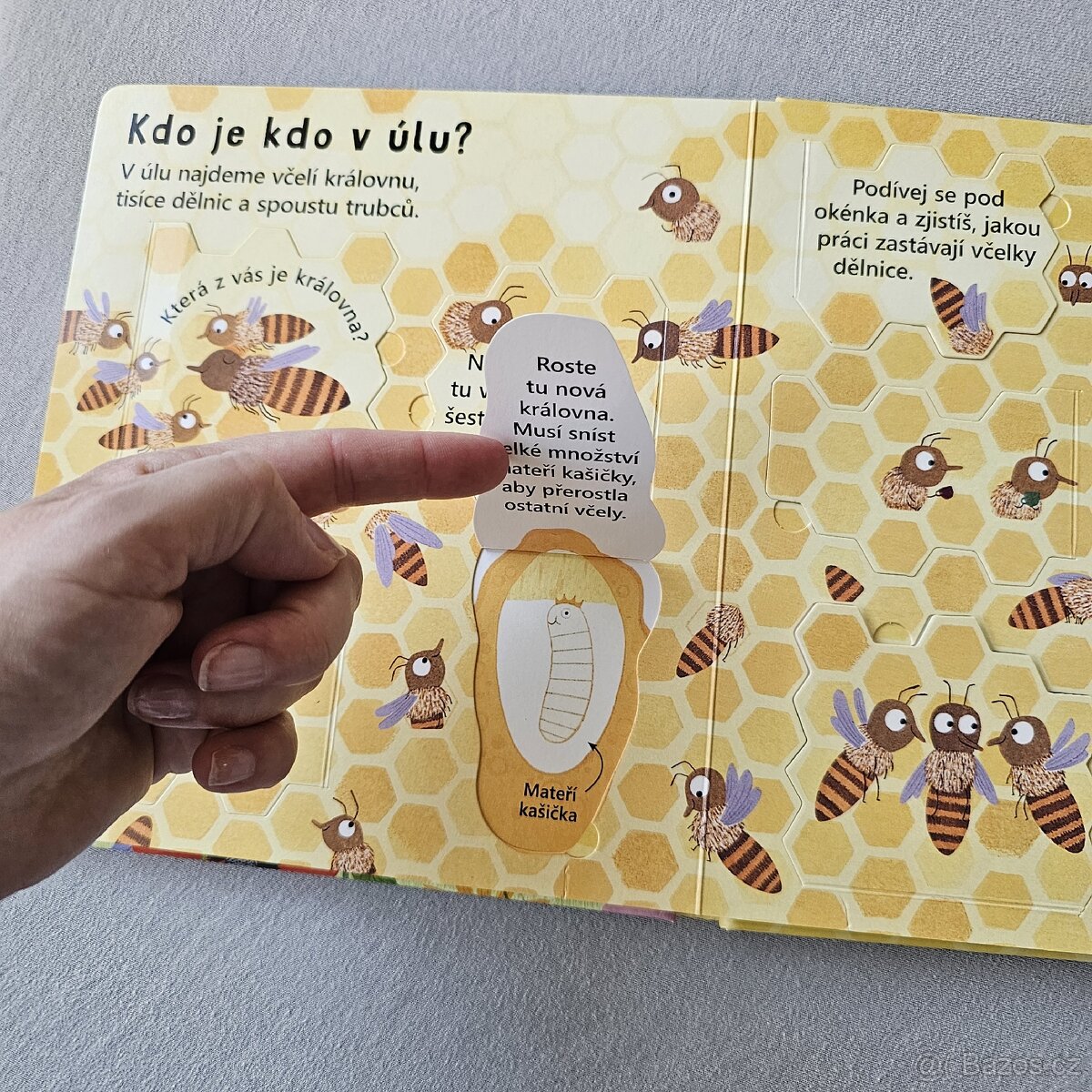 Svojtka - Proč potřebujeme včely - 6