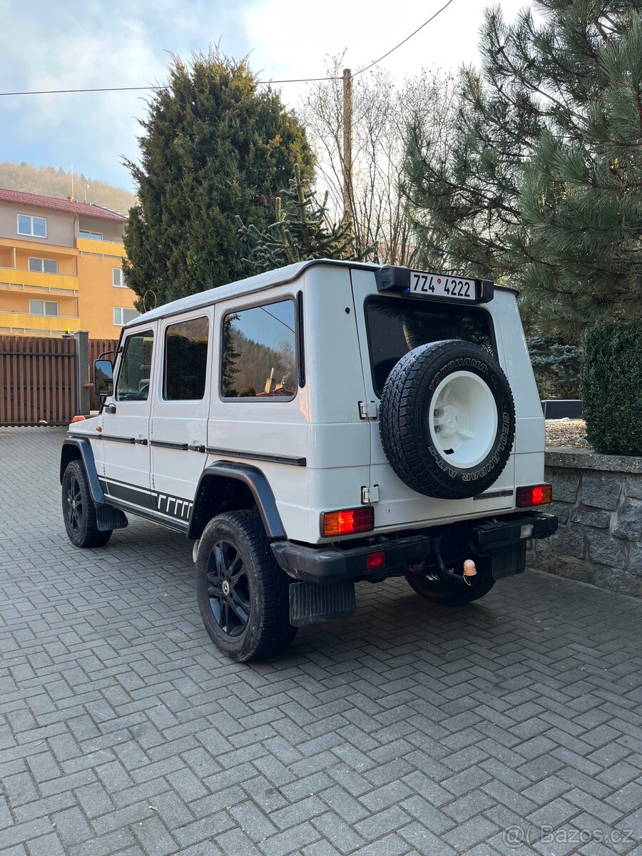 Mercedes Benz G 300 cdi Professional - 6