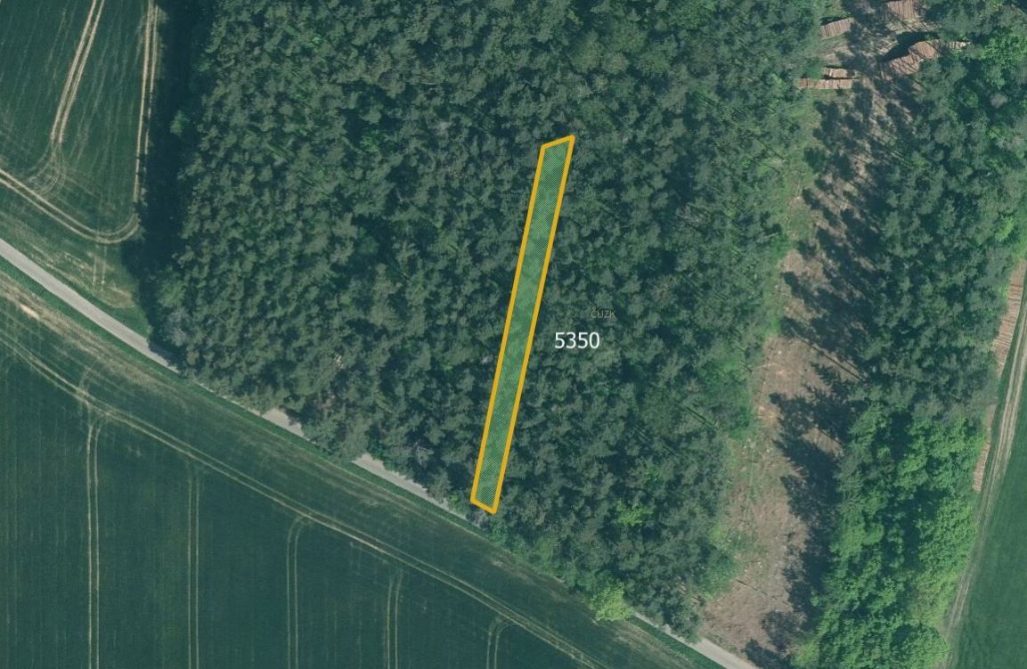 Zemědělská půda, prodej, Písecká Smoleč, Slabčice, Písek - 6